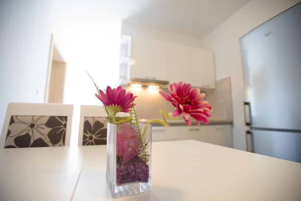Rujno Apartments Starigrad Paklenica Dış mekan fotoğraf